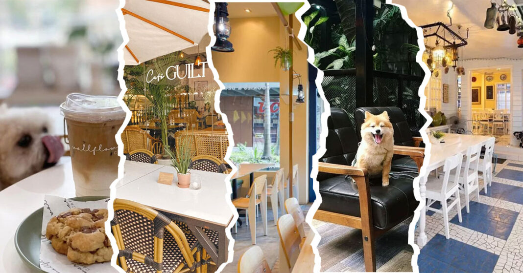 11 Must-Visit Dog-Friendly Restaurants and Cafes in Metro Manila