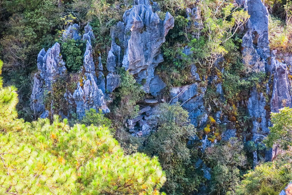 Echo Valley