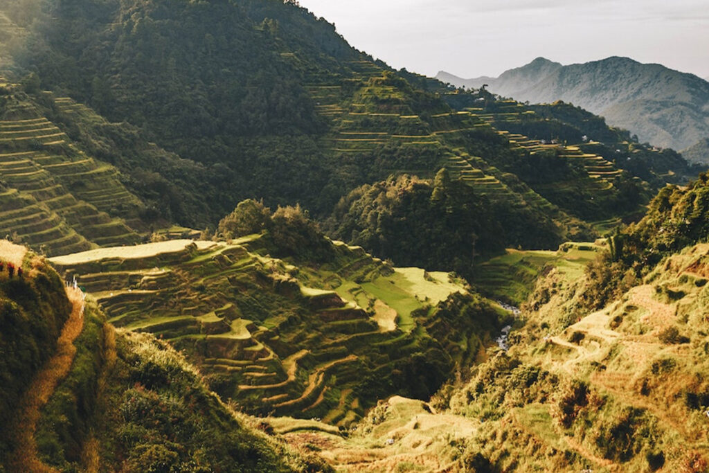 Rice Terraces at Kapay-aw