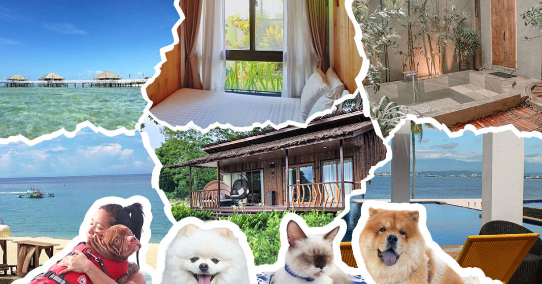 7 Pet-Friendly Hotels & Resorts to Visit for Your Staycation Near Metro Manila