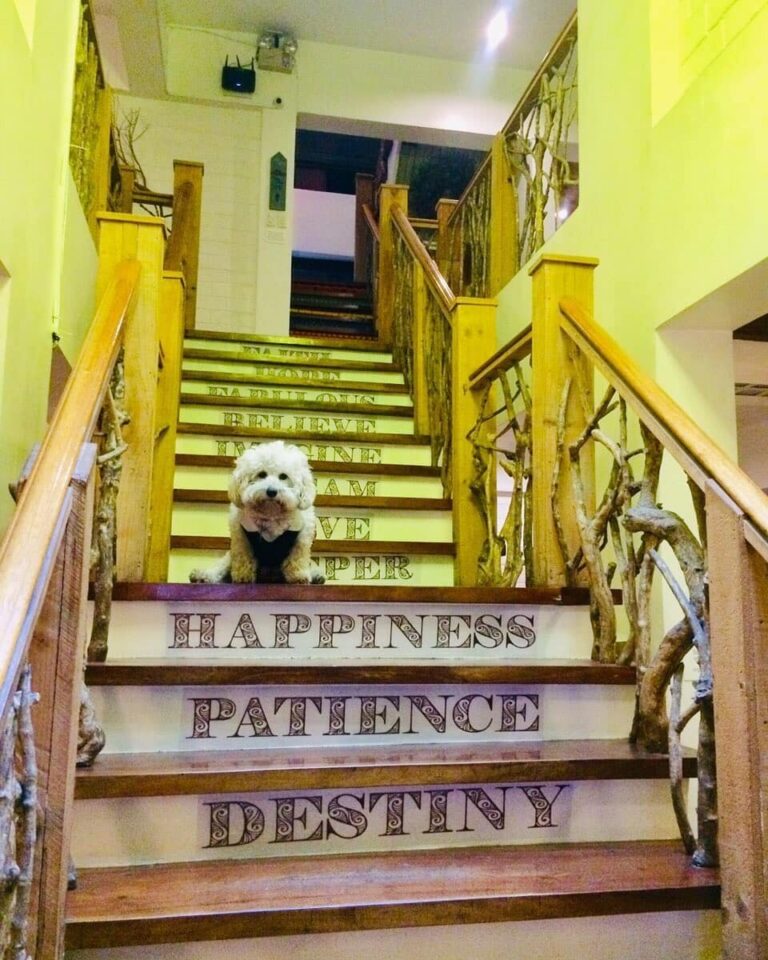 7 PetFriendly Hotels & Resorts to Visit for Your Staycation Near Metro