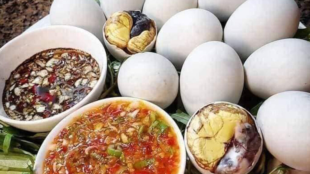 Balut