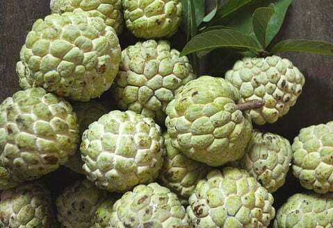 14 Fruits Native To The Philippines Go For Lokal g4l Philippines