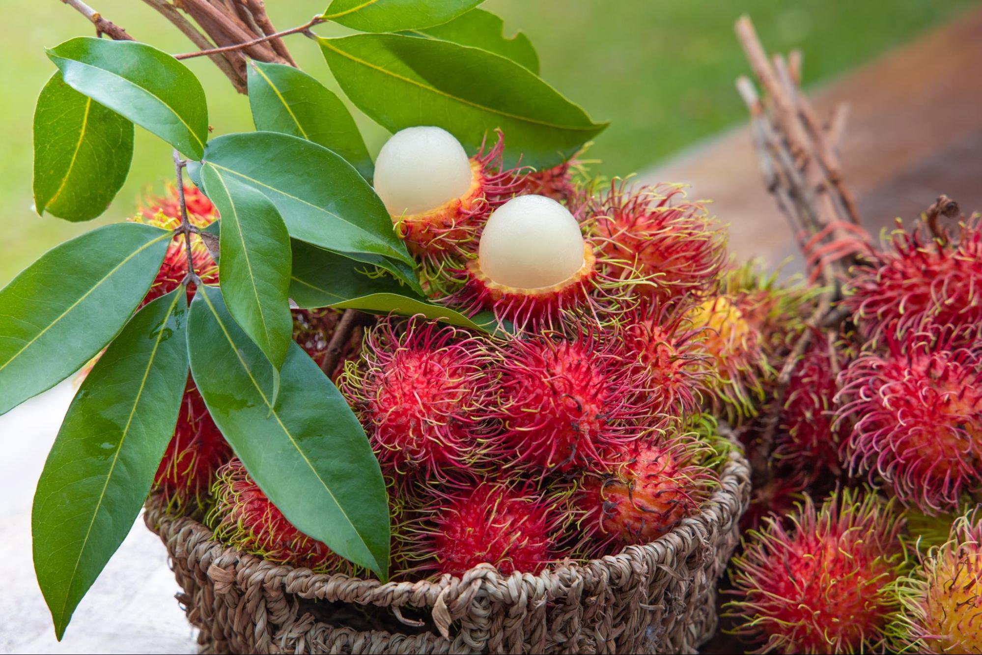 14 Fruits Native to the Philippines - Go for Lokal [g4l] Philippines