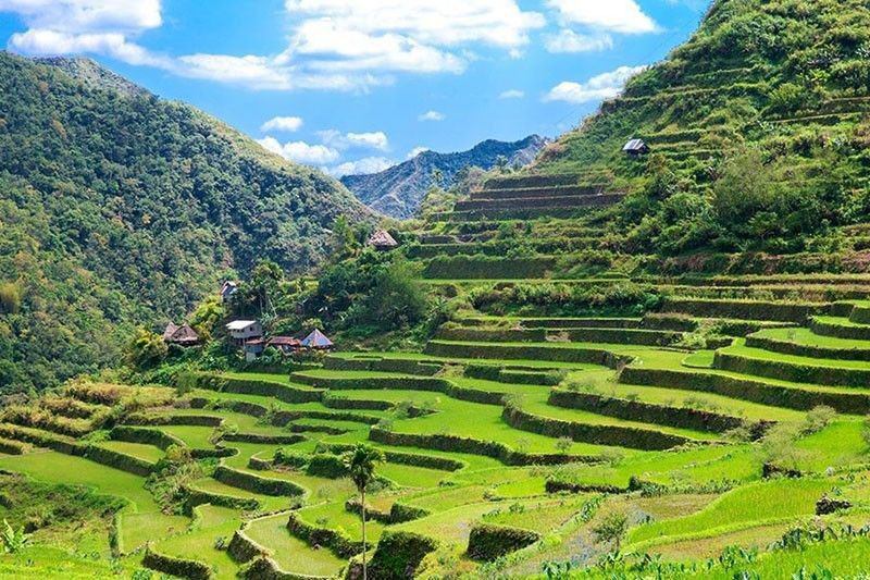 Banaue Rice Terraces