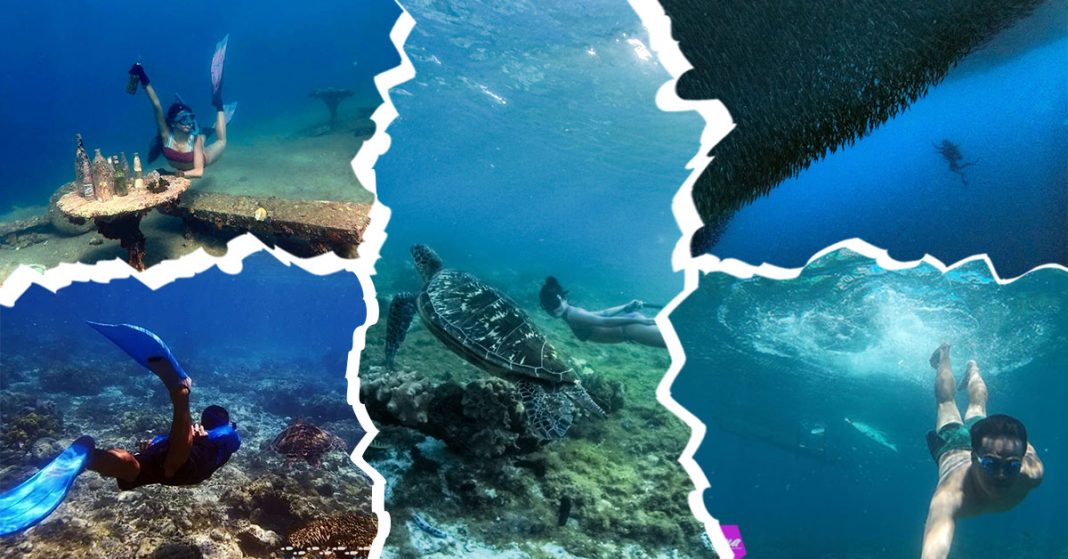 Freediving in the Philippines Don’t Miss These Epic Underwater Spots!