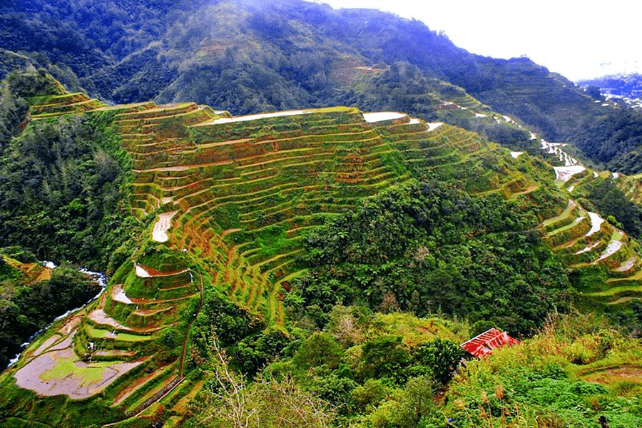 Banaue and Batad, Ifugao