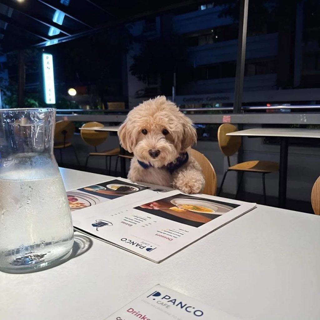 Panco Cafe