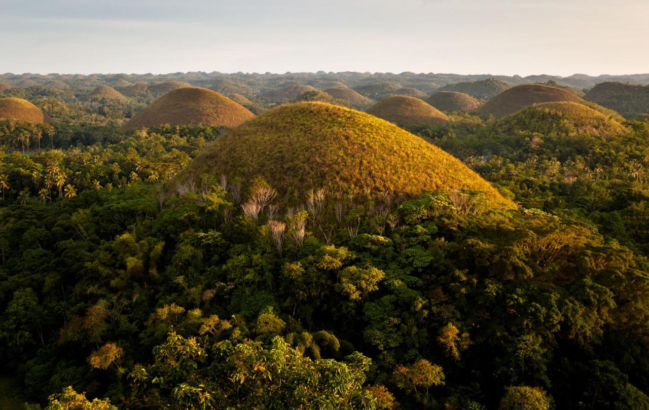 Rounded Chocolate Hills rising above green forest in Bohol