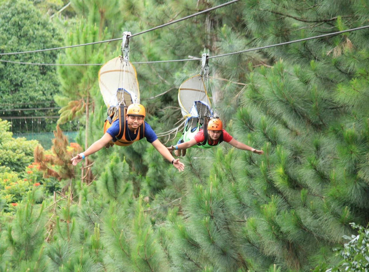 Two riders gliding above pine trees on a tandem zipline at Dahilayan Adventure Park