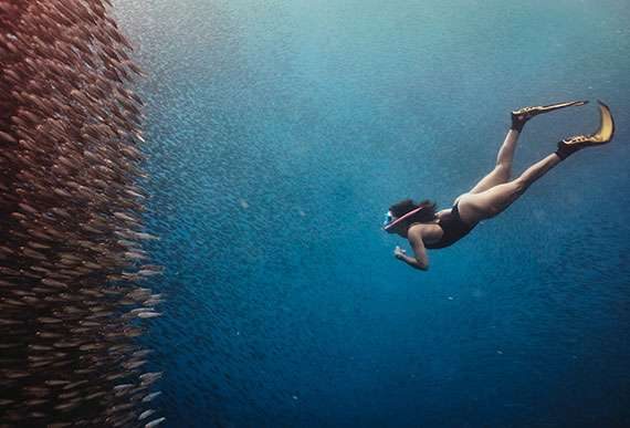 Freediver swimming beside a dense school of sardines in Cebu